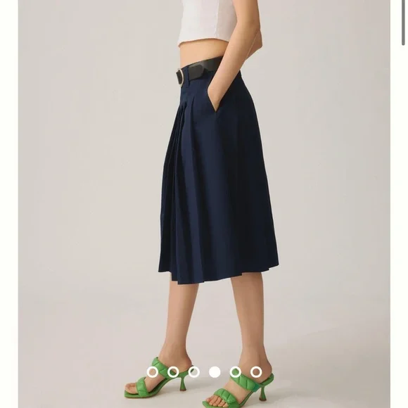 Anthropologie Pleated Midi Skirt - Picture 4 of 15